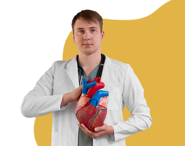 Bolesti srca i krvnih žila